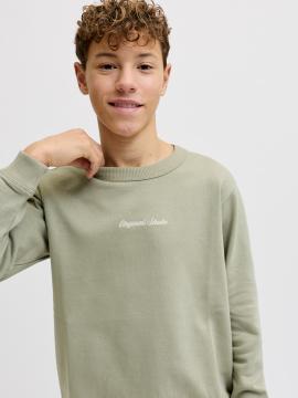 Afbeelding voor product Sweater van het merk Jack & Jones Junior in het Groen