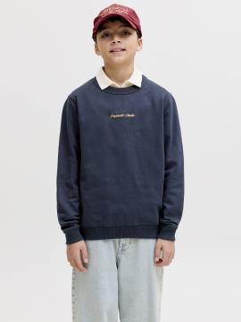 Afbeelding voor product Sweater van het merk Jack & Jones Junior in het Blauw