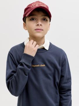 Afbeelding voor product Sweater van het merk Jack & Jones Junior in het Blauw