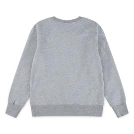 Afbeelding voor product Sweater van het merk Levis in het Grijs