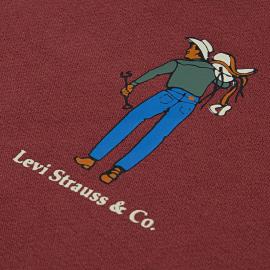 Afbeelding voor product Sweater van het merk Levis in het Rood