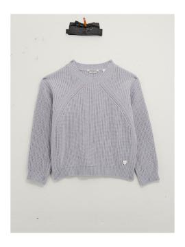 Afbeelding voor product Pull van het merk Guess in het Grijs