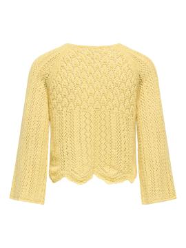 Afbeelding voor product Pull van het merk Only in het Geel