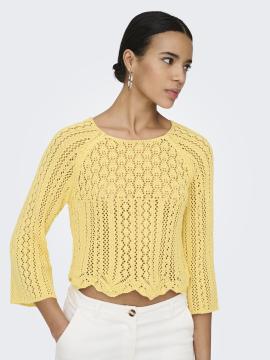 Afbeelding voor product Pull van het merk Only in het Geel