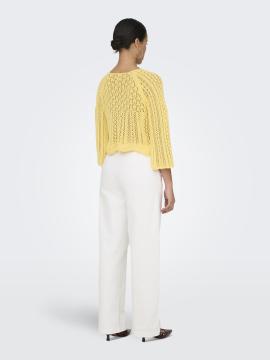 Afbeelding voor product Pull van het merk Only in het Geel