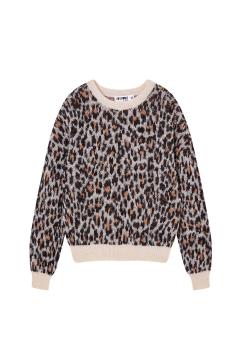 Afbeelding voor product Pull van het merk Awesome in het Beige