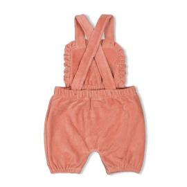 Afbeelding voor product Broek van het merk Feetje in het Roze