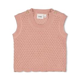 Afbeelding voor product Pull van het merk Feetje in het Roze