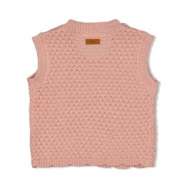 Afbeelding voor product Pull van het merk Feetje in het Roze