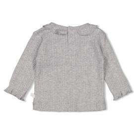 Afbeelding voor product T-shirt van het merk Feetje in het Grijs