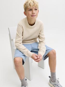 Afbeelding voor product Short van het merk Jack & Jones Junior in het Jeans