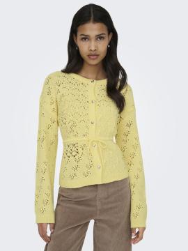 Afbeelding voor product Cardigan van het merk Only in het Geel