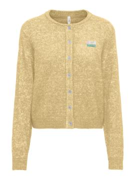 Afbeelding voor product Cardigan van het merk Only in het Geel