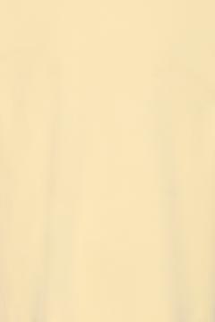 Afbeelding voor product T-shirt van het merk !solid in het Geel