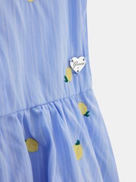 Afbeelding voor product Kleed van het merk Guess in het Blauw