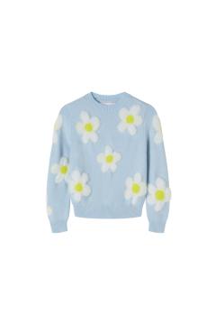 Afbeelding voor product Pull van het merk Someone in het Blauw