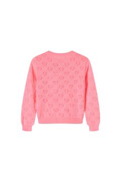 Afbeelding voor product Pull van het merk Someone in het Roze