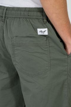 Afbeelding voor product Short van het merk Reell in het Groen