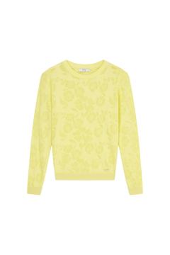 Afbeelding voor product Pull van het merk Vila Joy in het Geel