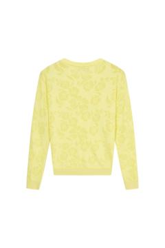 Afbeelding voor product Pull van het merk Vila Joy in het Geel