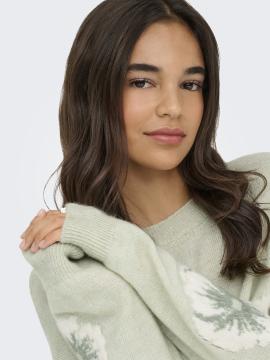 Afbeelding voor product Pull van het merk Jdy in het Groen