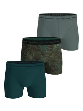 Afbeelding voor product Boxer van het merk Bjorn Borg in het Groen
