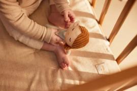 Afbeelding voor product Speelgoed van het merk Jollein in het Blauw