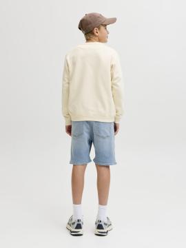 Afbeelding voor product Short van het merk Jack & Jones Junior in het Jeans