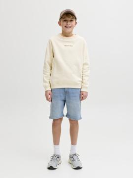 Afbeelding voor product Short van het merk Jack & Jones Junior in het Jeans