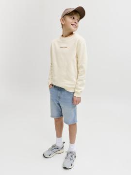 Afbeelding voor product Short van het merk Jack & Jones Junior in het Jeans