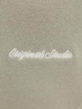 Afbeelding voor product Polo van het merk Jack & Jones Junior in het Groen