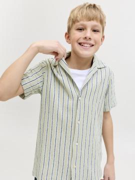 Afbeelding voor product T-shirt van het merk Jack & Jones Junior in het Groen