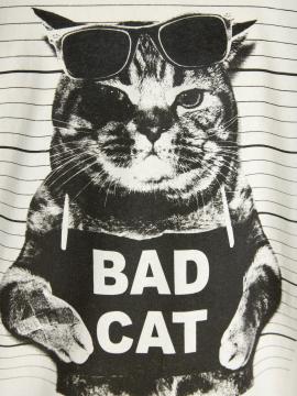 Afbeelding voor product T-shirt van het merk Jjxx in het Ecru