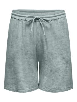 Afbeelding voor product Short van het merk Only Carmakoma in het Groen