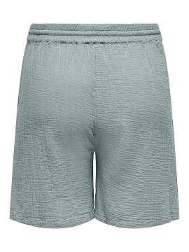 Afbeelding voor product Short van het merk Only Carmakoma in het Groen