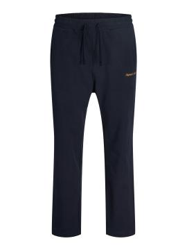 Afbeelding voor product Jogging van het merk Jack & Jones in het Blauw