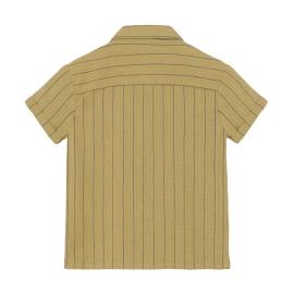 Afbeelding voor product Hemd van het merk Daily 7 in het Groen