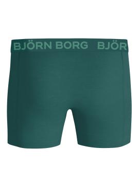 Afbeelding voor product Boxer van het merk Bjorn Borg in het Blauw