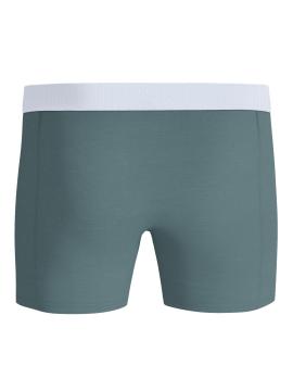 Afbeelding voor product Boxer van het merk Bjorn Borg in het Groen