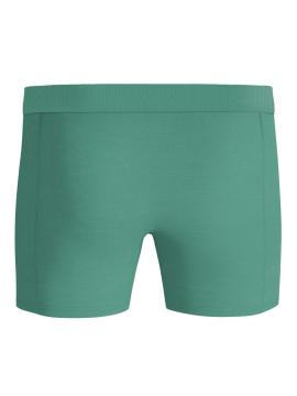 Afbeelding voor product Boxer van het merk Bjorn Borg in het Groen
