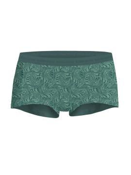 Afbeelding voor product Boxer van het merk Bjorn Borg in het Groen