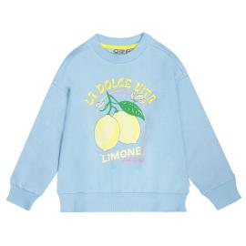 Afbeelding voor product Sweater van het merk Tumblendry in het Blauw