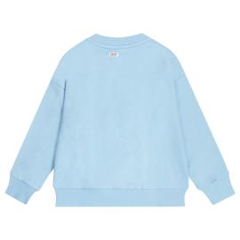 Afbeelding voor product Sweater van het merk Tumblendry in het Blauw
