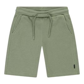 Afbeelding voor product Short van het merk Cars in het Groen