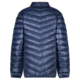 Afbeelding voor product Vest van het merk Cars in het Marine