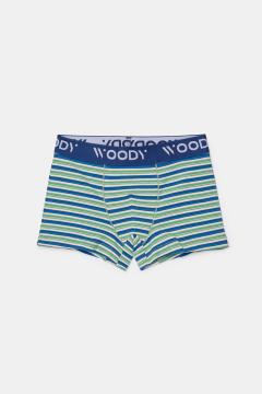 Afbeelding voor product Boxer van het merk Woody in het Blauw