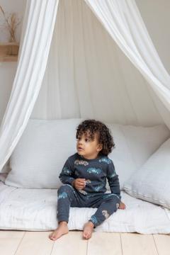 Afbeelding voor product Pyjama van het merk Feetje in het Grijs