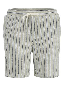 Afbeelding voor product Short van het merk Jack & Jones in het Groen