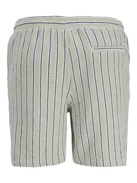 Afbeelding voor product Short van het merk Jack & Jones in het Groen