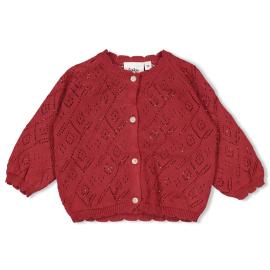 Afbeelding voor product Gilet van het merk Feetje in het Rood